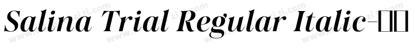 Salina Trial Regular Italic字体转换